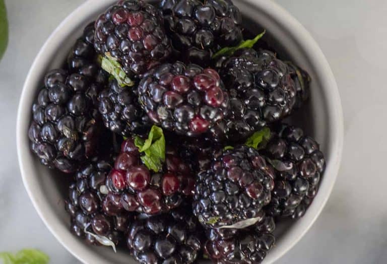 Blackberry Mint Yogurt Bowl