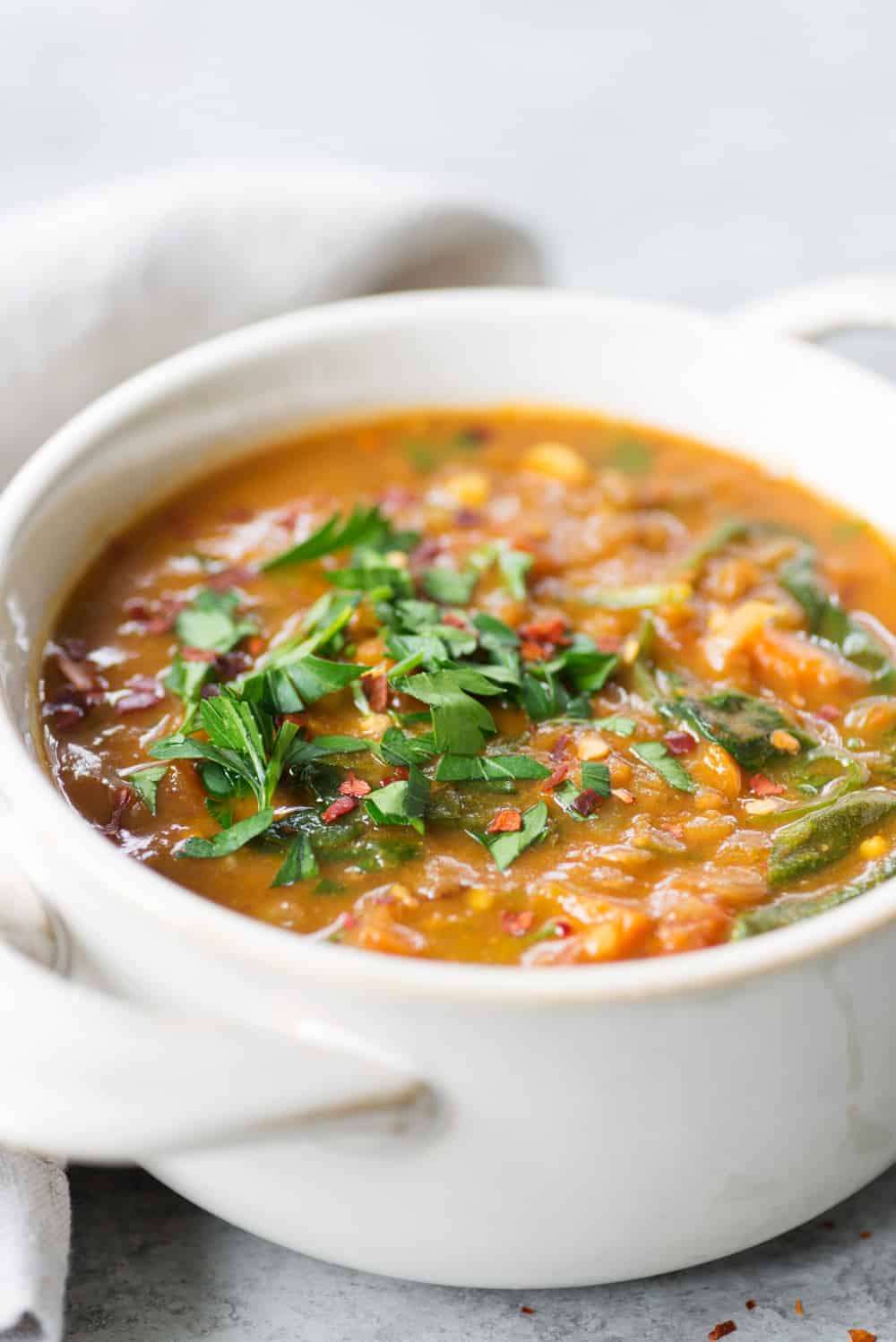 100 Best Plant-Based Recipes 10 Instant Pot Lentil Soup
