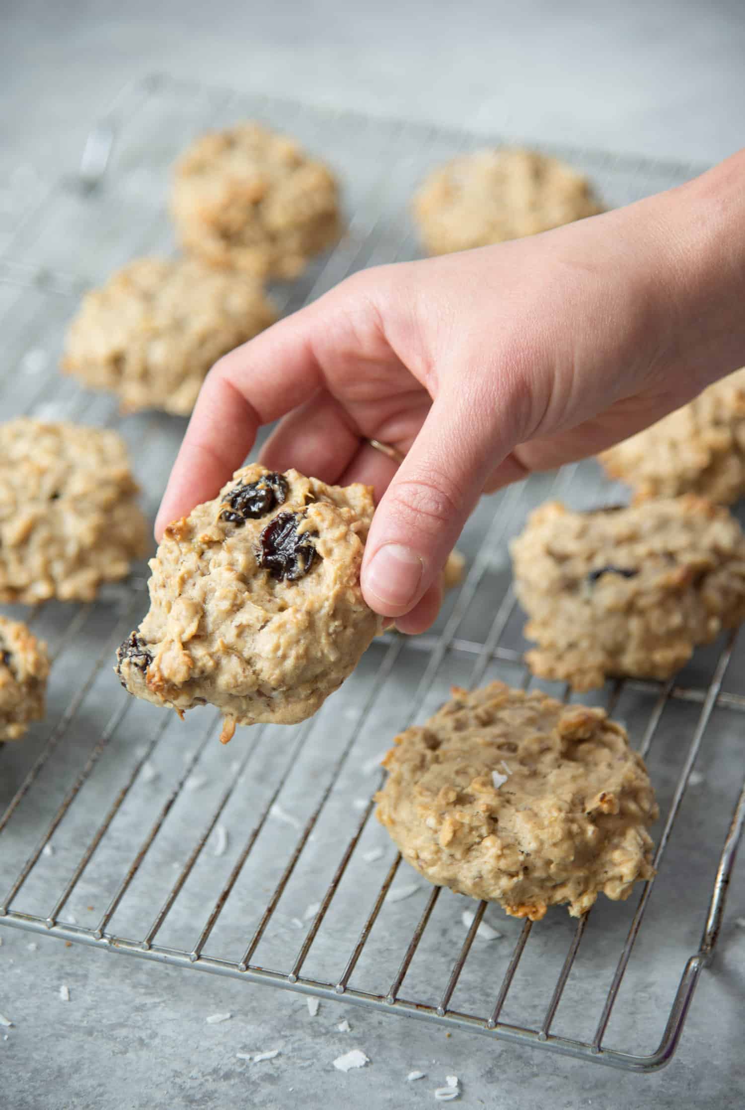 100 Best Plant-Based Recipes 3 Tropical Trail Mix Cookies